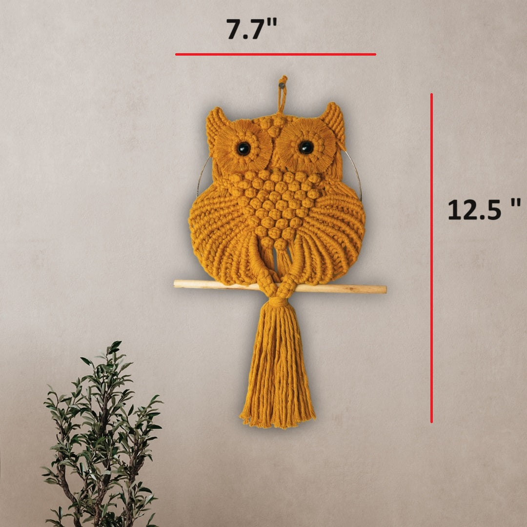 Macrame Owl Wall Hanging Art For Home Decor | Macrame Wall Hanging